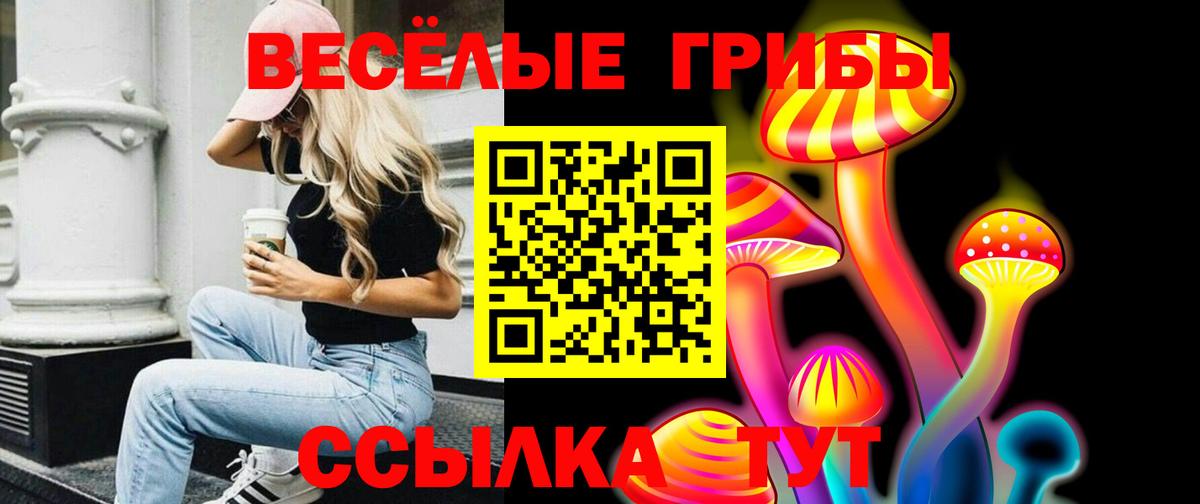 как найти   Вход с VPN  Курск  Галлюциногенные грибы мицелий 
