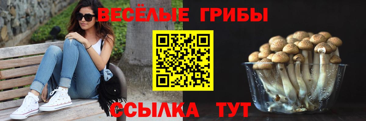 Псилоцибиновые грибы прущие грибы Курск